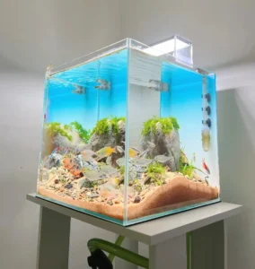 家用水族箱背光应用案例