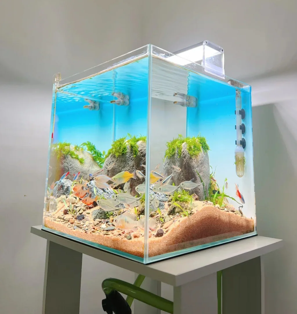 家用水族箱背光应用案例