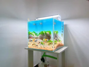 家用水族箱背光应用案例